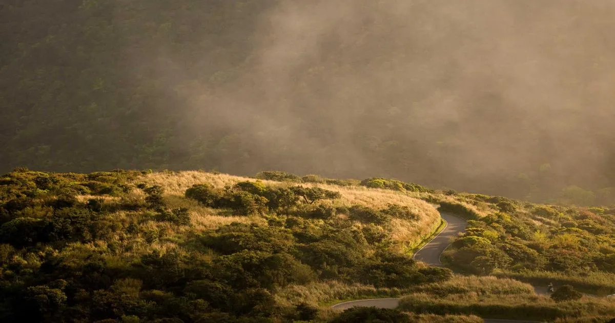 Les conséquences du changement climatique sur le territoire français : enjeux et réalités