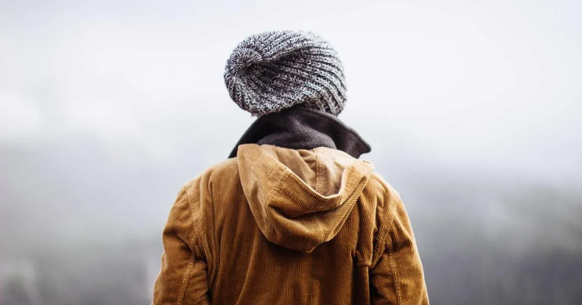 Voir une mante religieuse : que signifie ce présage ?
